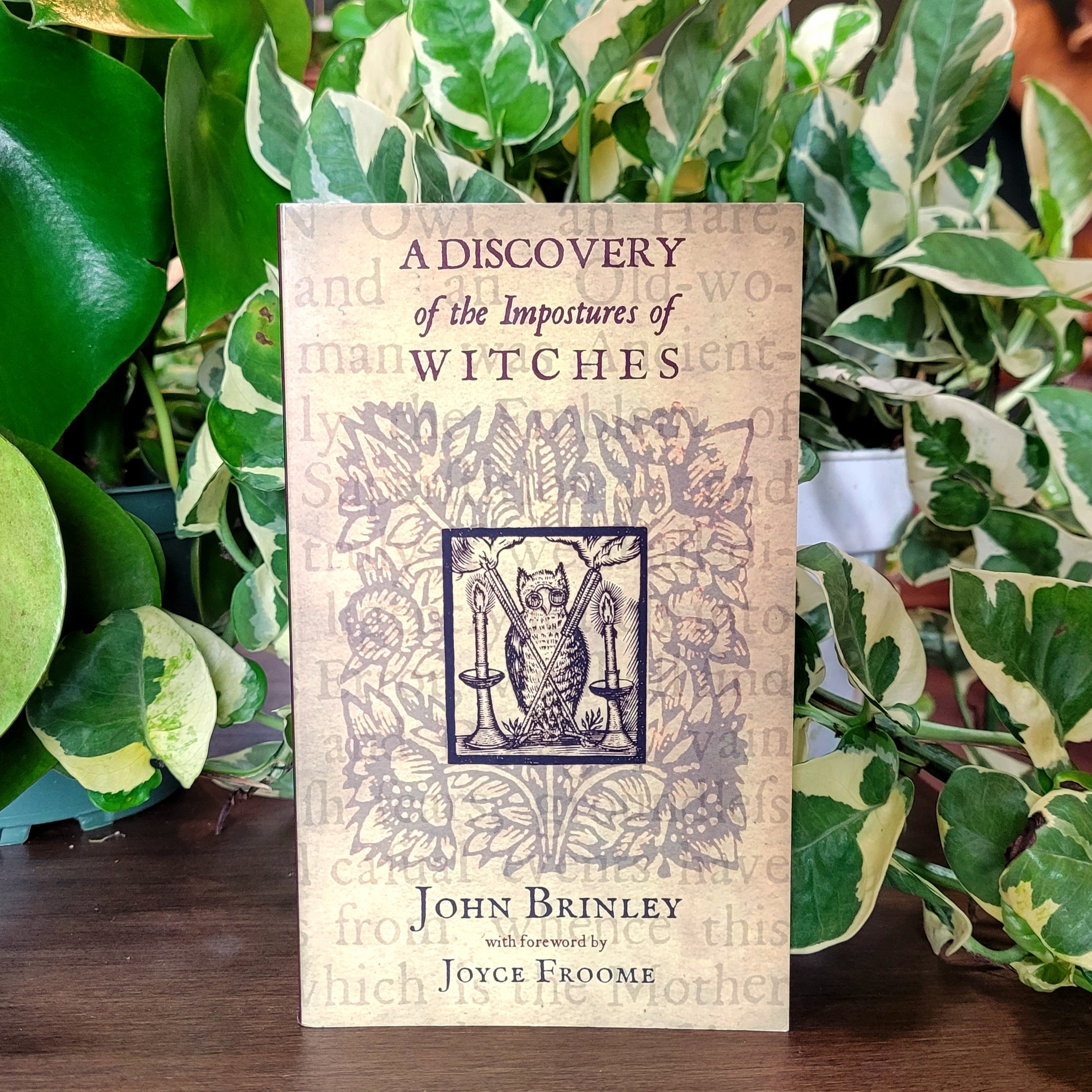 John　of　A　Witches　Impostures　Astrologers　by　Discovery　and　of　the　Brinl