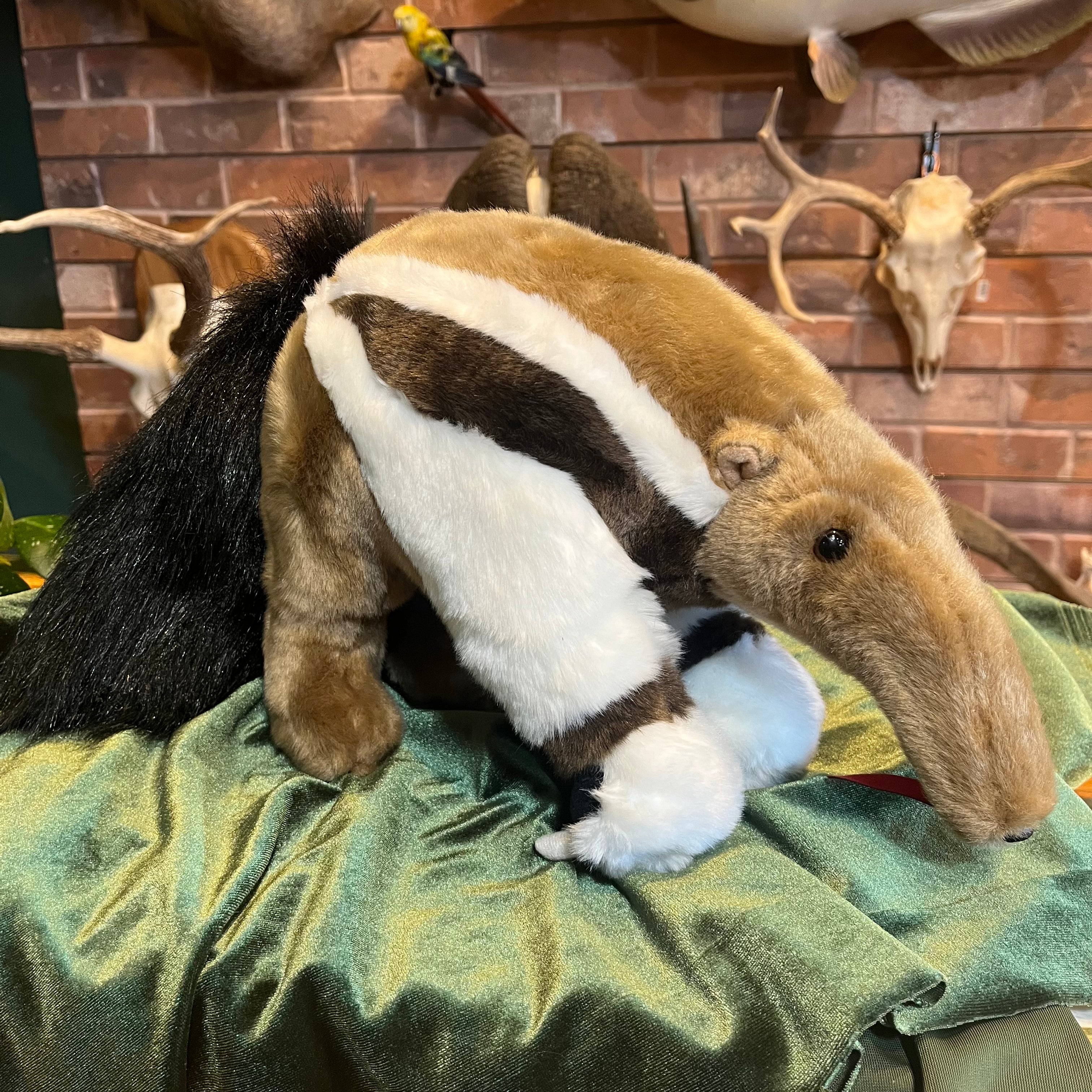 Anteater stuffed animal online