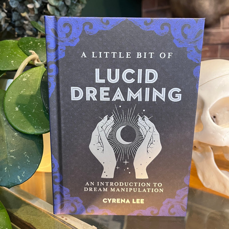 A Little Bit of Lucid Dreaming: An Introduction to Dream Manipulation by Cyrena Lee
