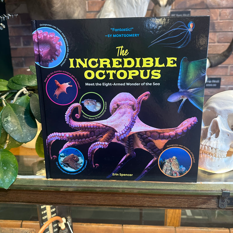 The Incredible Octopus: Meet the Eight-Armed Wonder of the Sea by Erin Spencer
