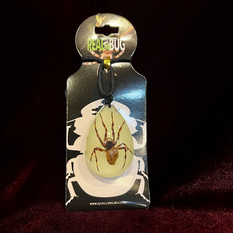 Spider Glow in the Dark Tear Drop Necklace