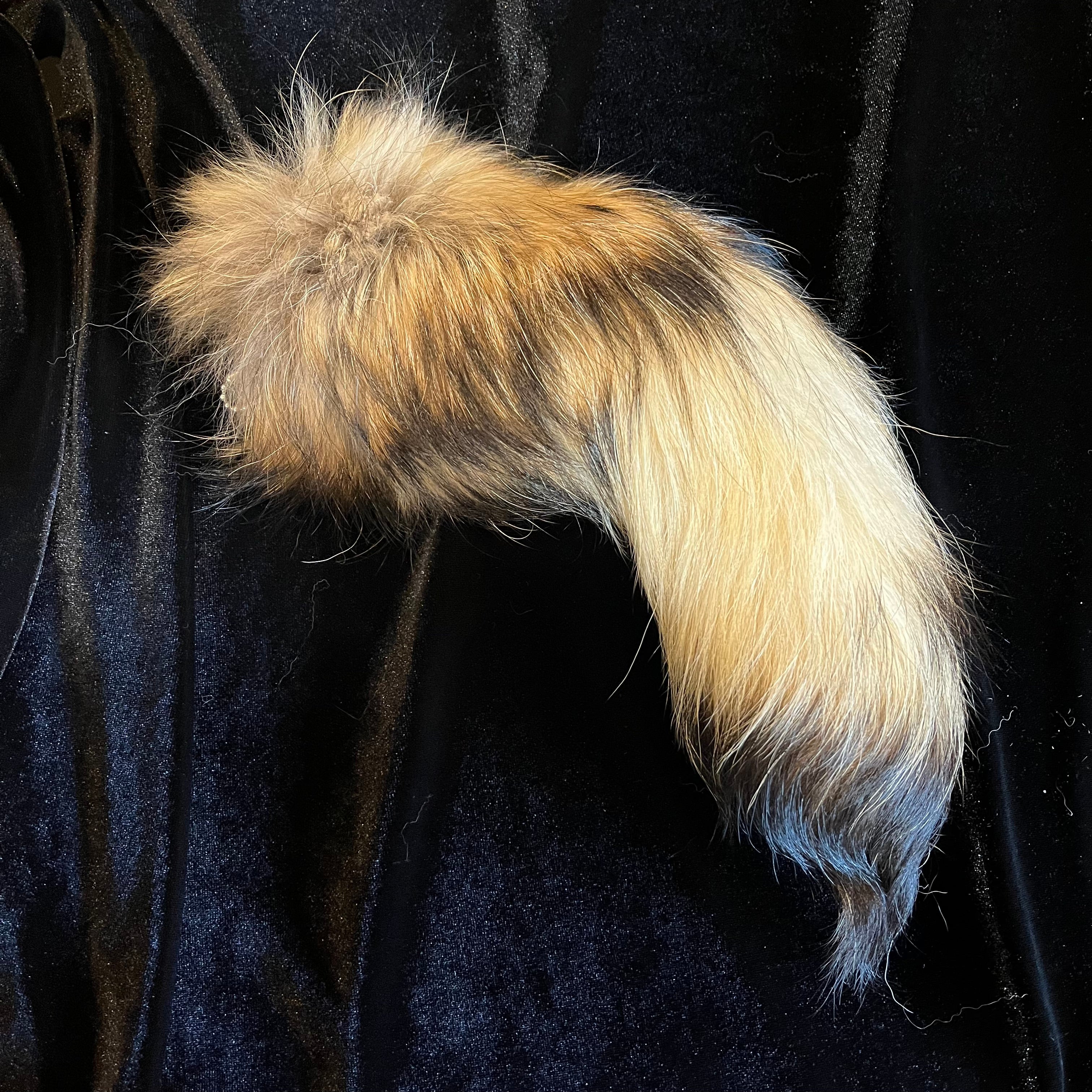 tanuki-tail