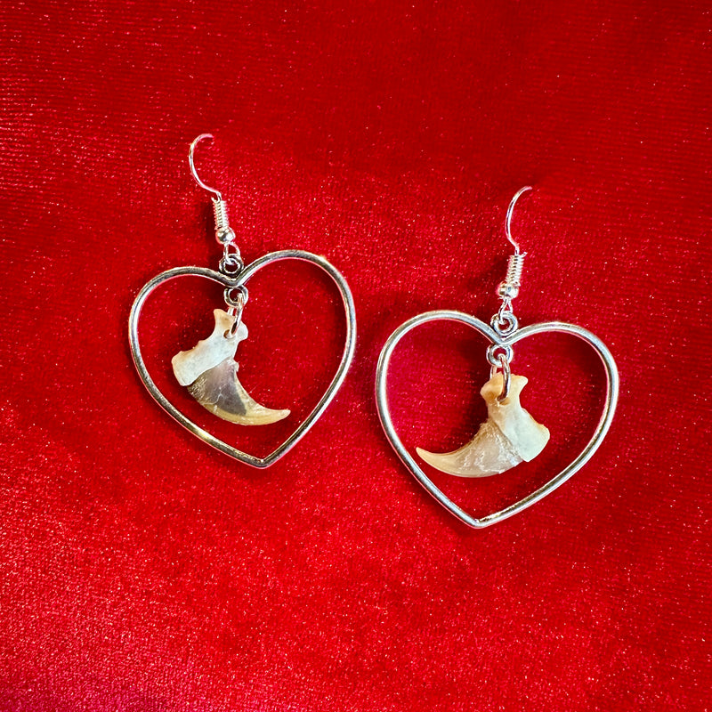 Bobcat Claw Heart Earrings