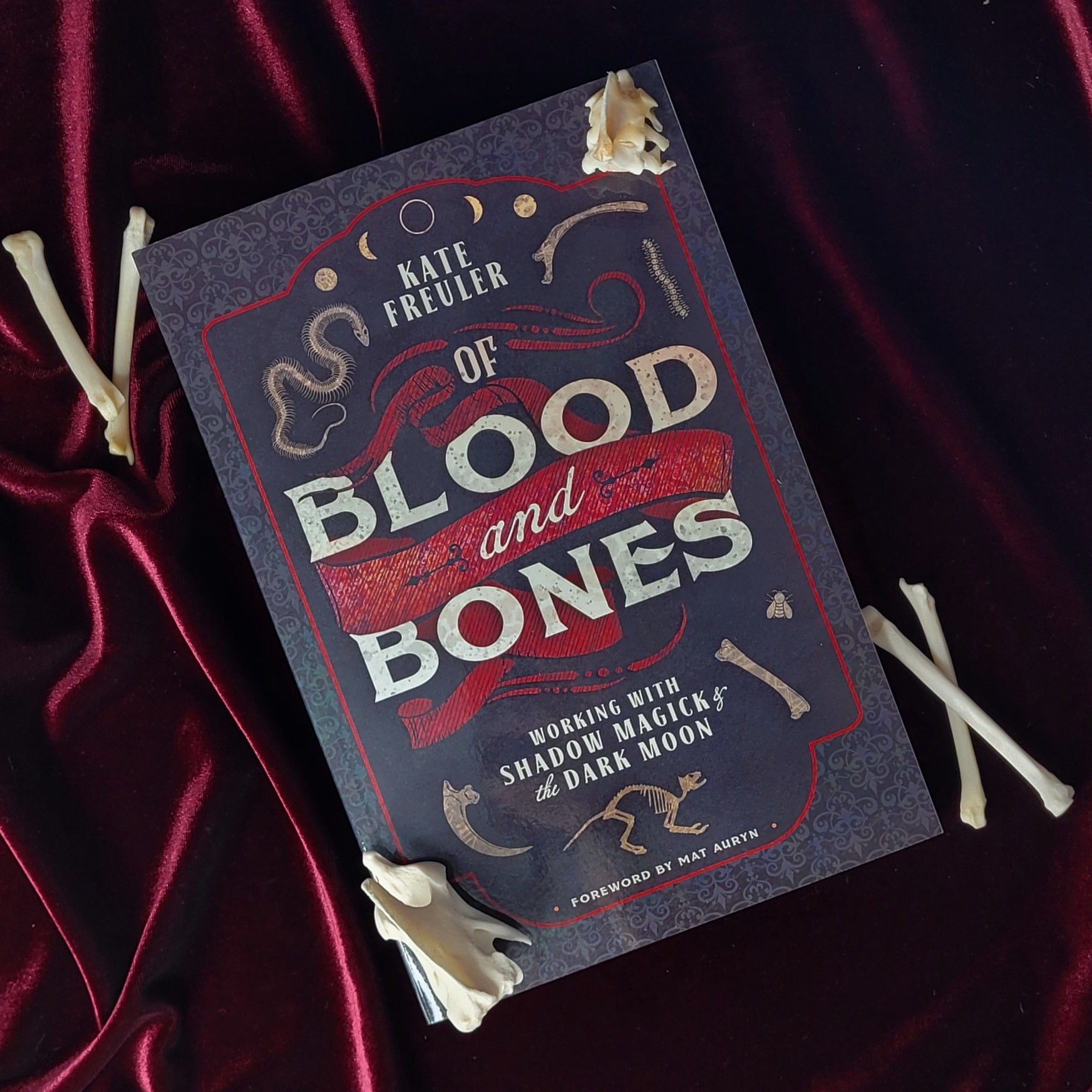 The Dark Bones [Book]