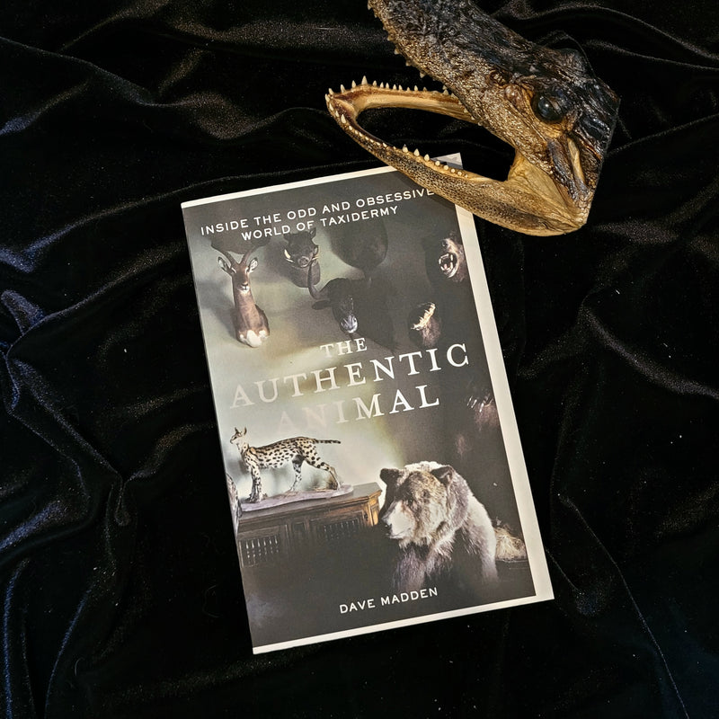 Authentic Animal: Inside the Odd and Obsessive World of Taxidermy by Dave Madden