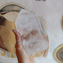 Large Quartz Obelisk - Curious Nature