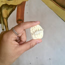 American Alligator Scute