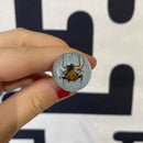 Black Bug Pen - Curious Nature