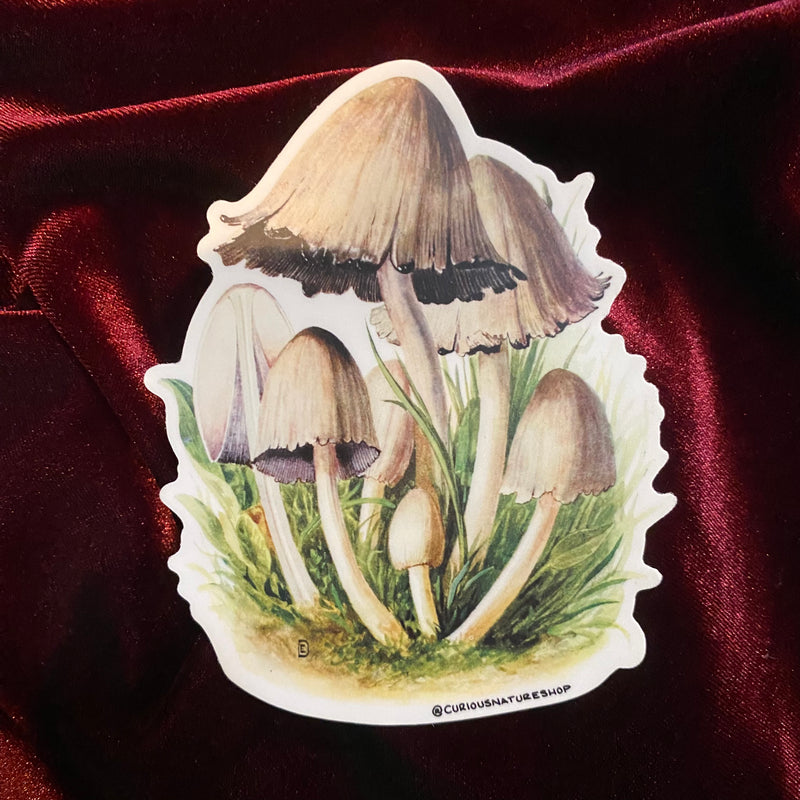 White Mushroom Cluster Sticker