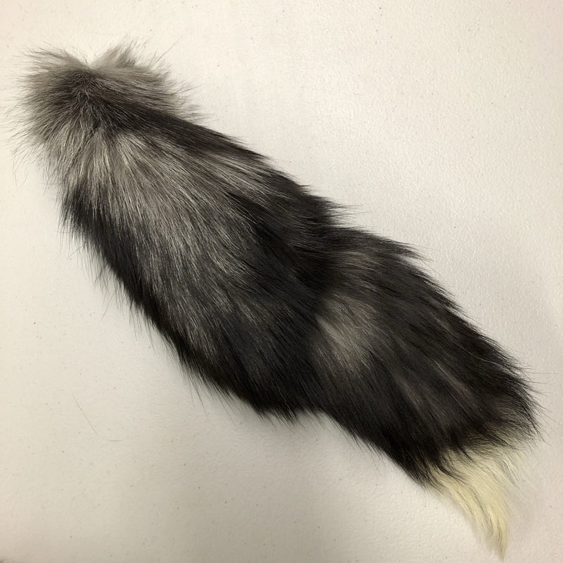 Silver Fox Tail - Curious Nature