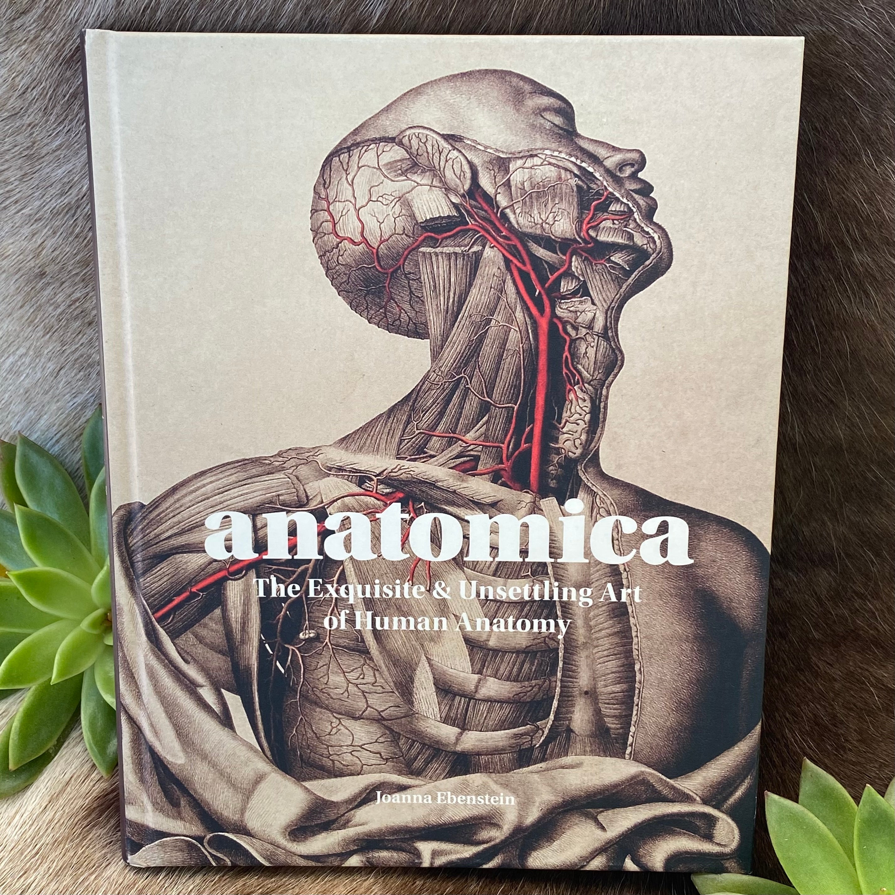 Anatomica: The Exquisite and Unsettling Art of Human Anatomy by Joanna  Ebenstein