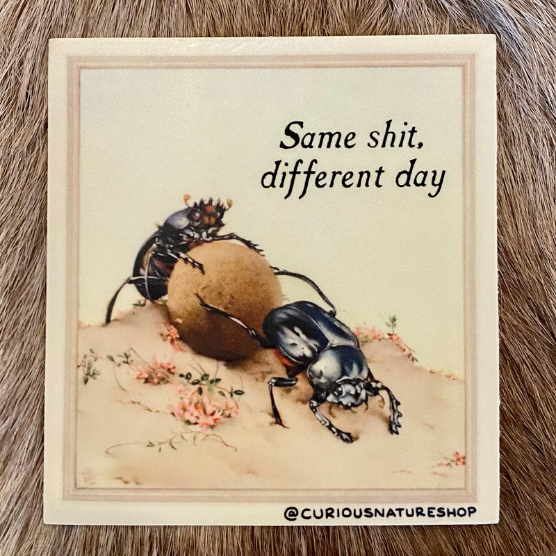 Same Shit Different Day Sticker