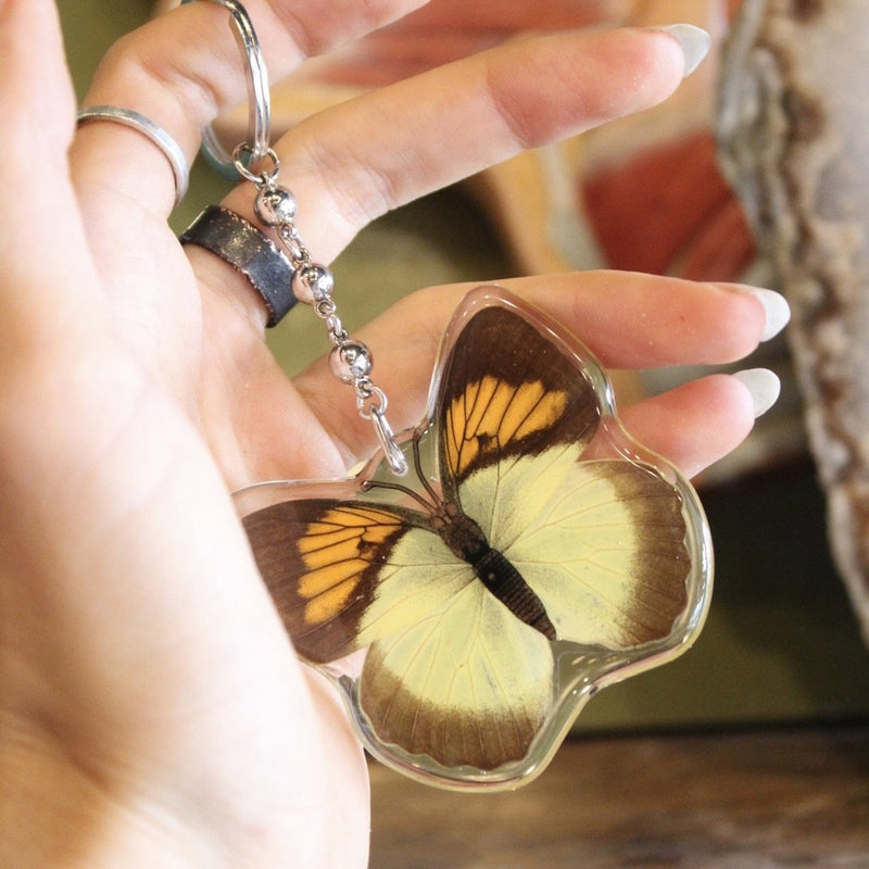 Yellow Orange Tip Butterfly Keychain - Curious Nature