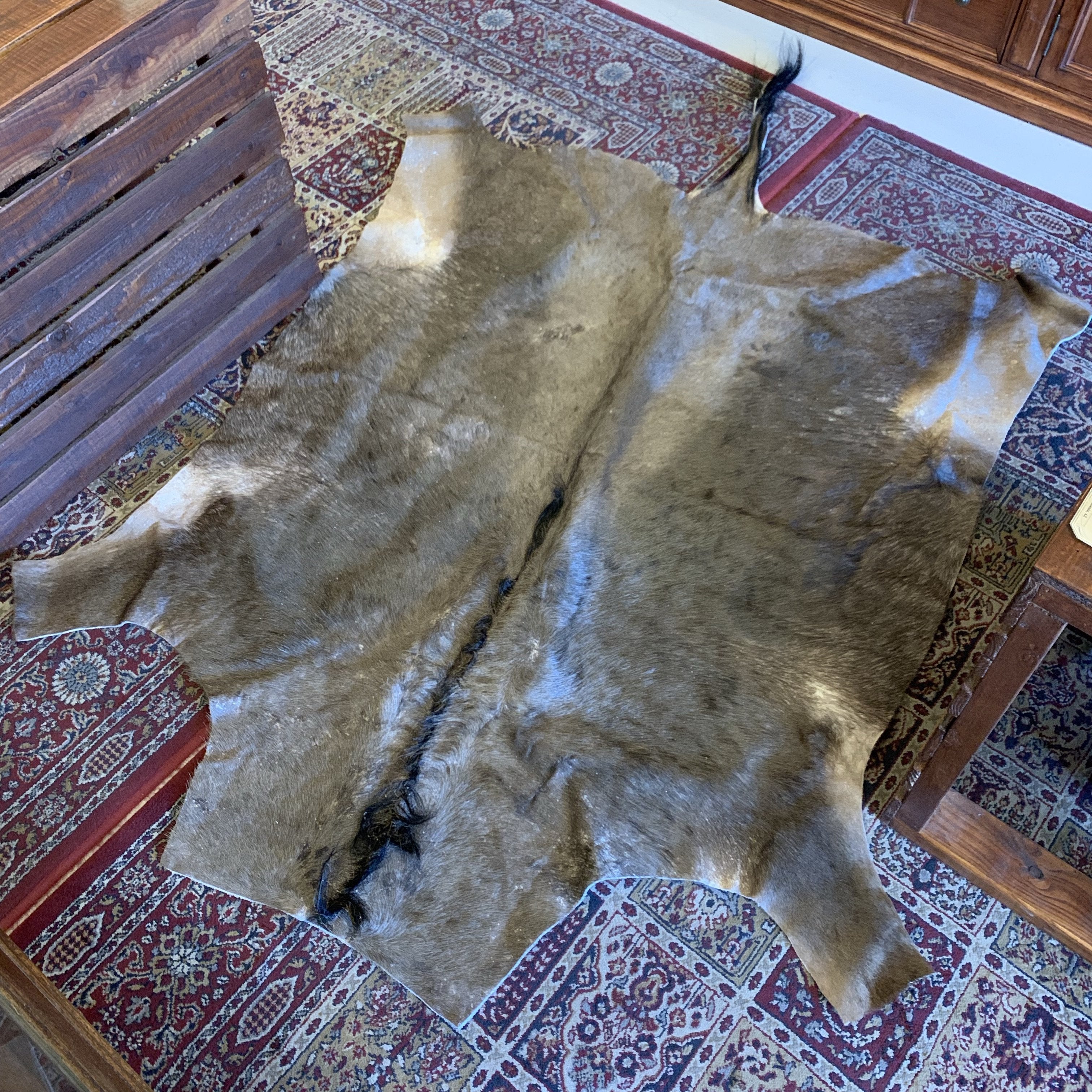 image_fbd626f8-ee94-44ca-9747-