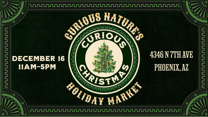 A Curious Christmas Market - Saturday, December 16th