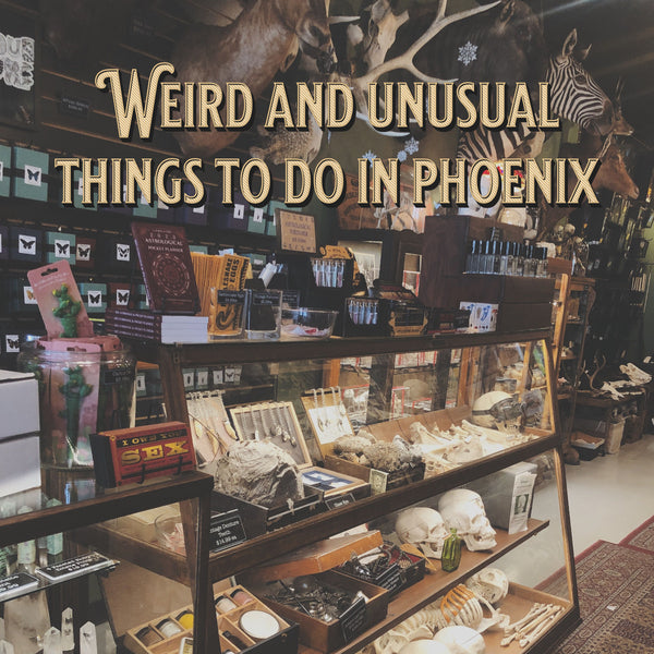 Weird and Unusual Things to Do in Phoenix