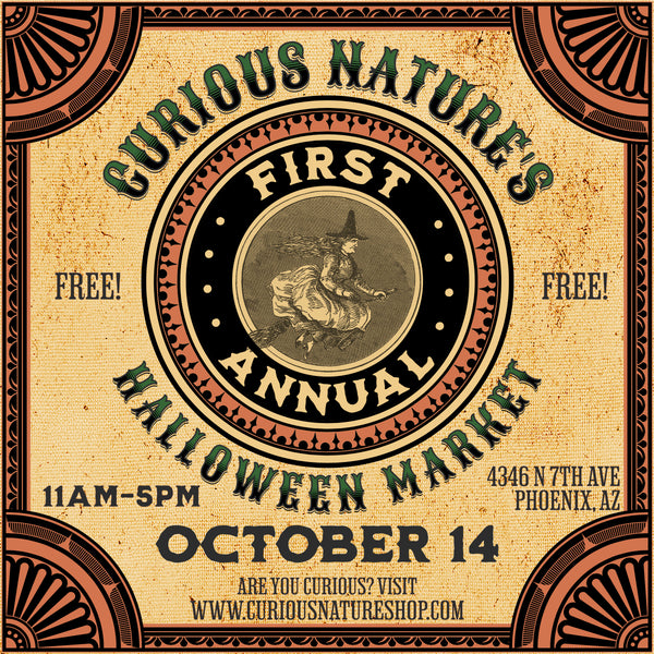 Curious Nature's First Annual Halloween Market