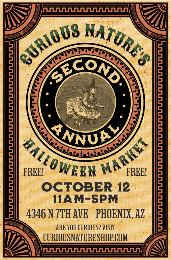 Fall Classes and Events