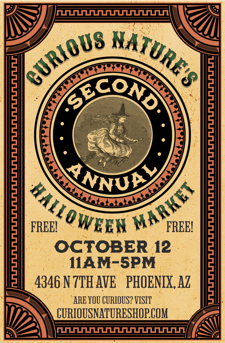 Fall Classes and Events