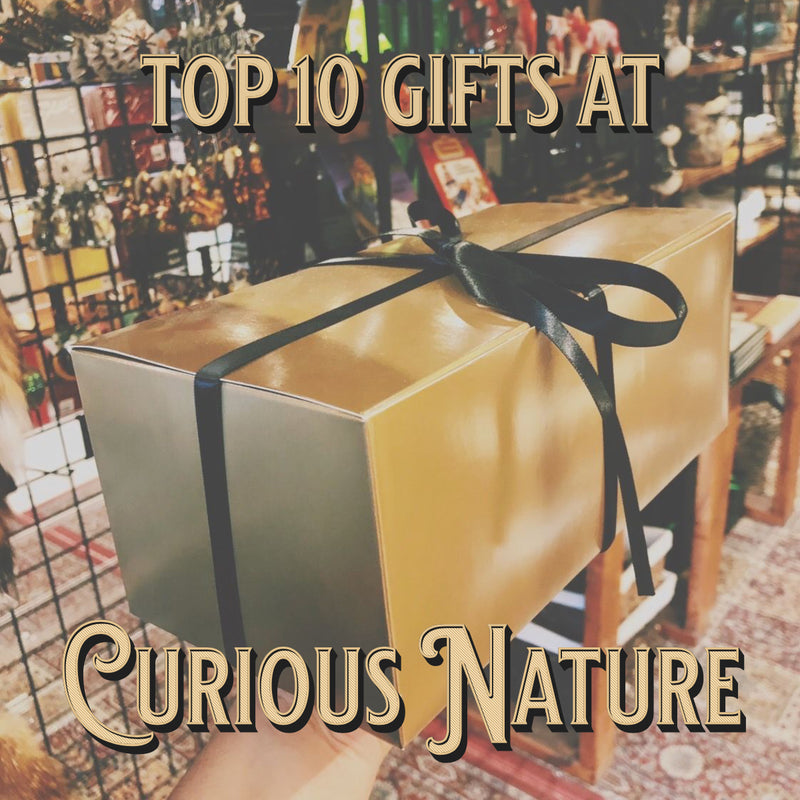 Curious Nature's Top 10 Gifts