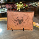 Paper Tailless Whip Scorpion