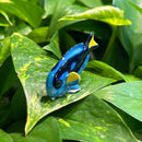 Mini Ceramic Blue Tang Fish Figurine
