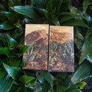 Prickly Pear Cactus Matchbox