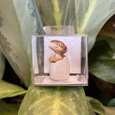 Mini Ceramic Dinosaur Egg Figurine