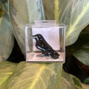 Mini Ceramic Raven Figurine