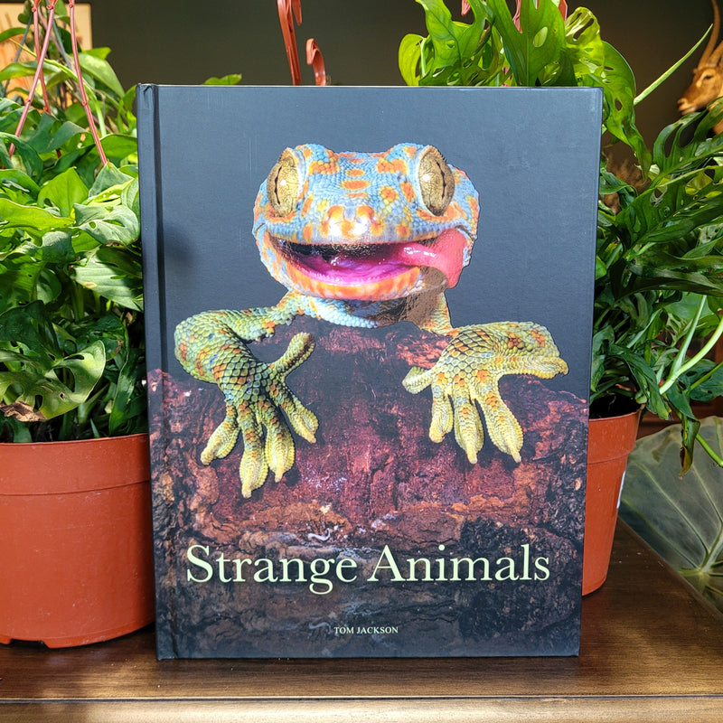 Strange Animals by Tom Jackson