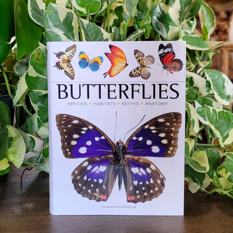 Mini Encyclopedia: Butterflies by Julianna Photopoulos