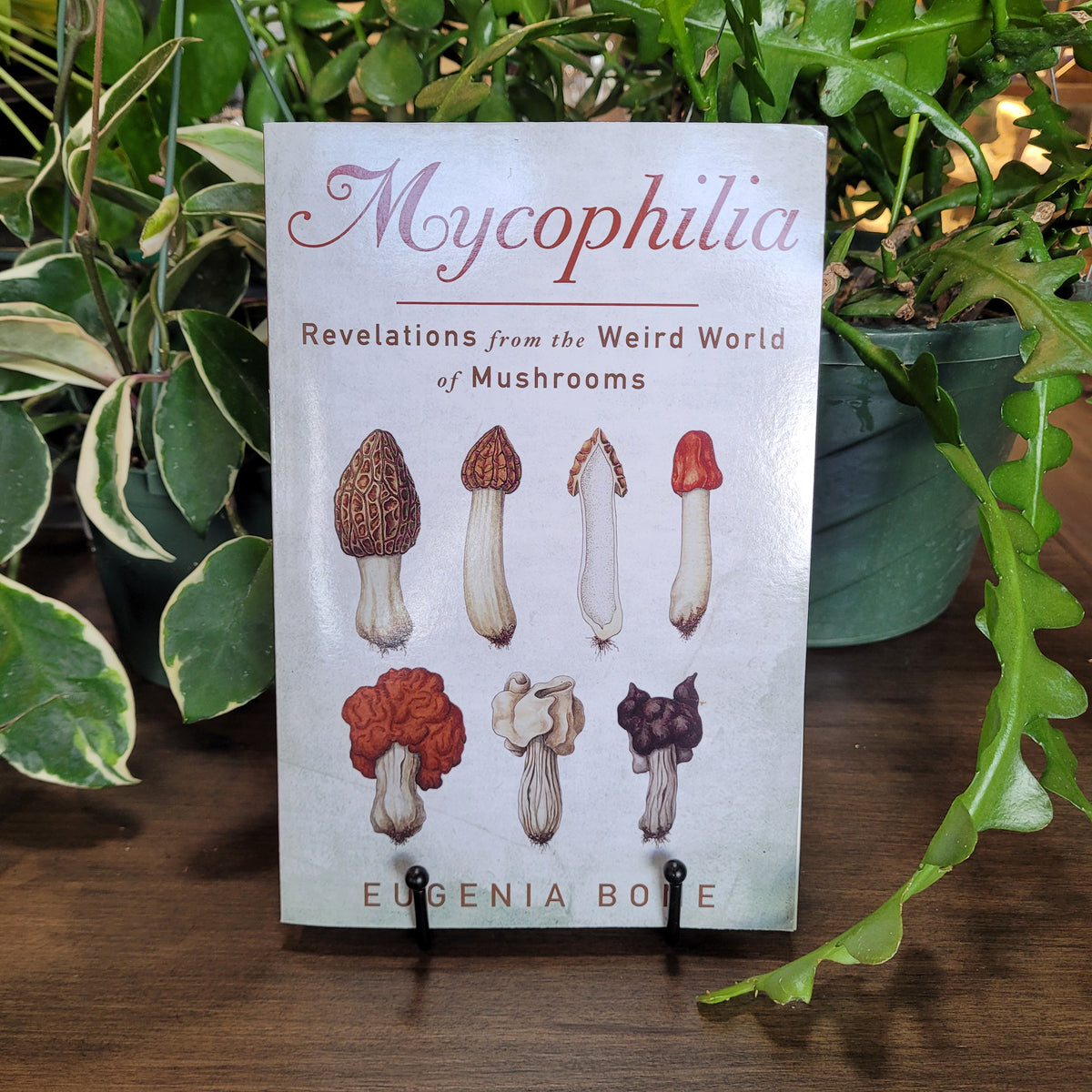 Mycophilia: Revelations from the Weird World of Mushrooms by Eugenia B
