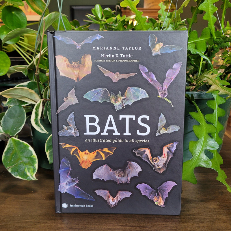 Bats: An Illustrated Guide to All Species by Marianne Taylor and Merlin Tuttle