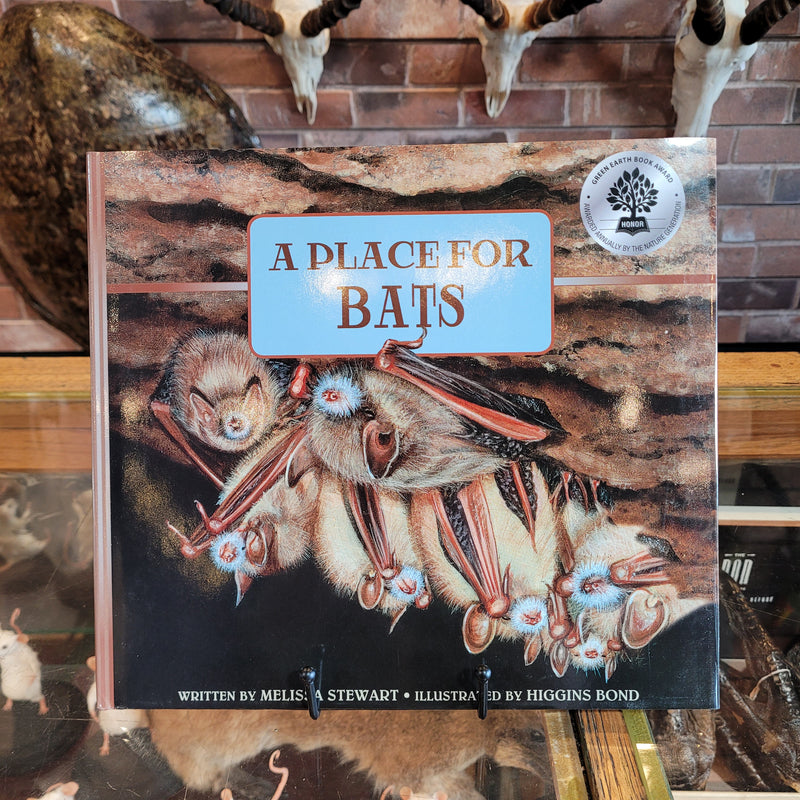 A Place for Bats by Melissa Stewart and Higgins Bond