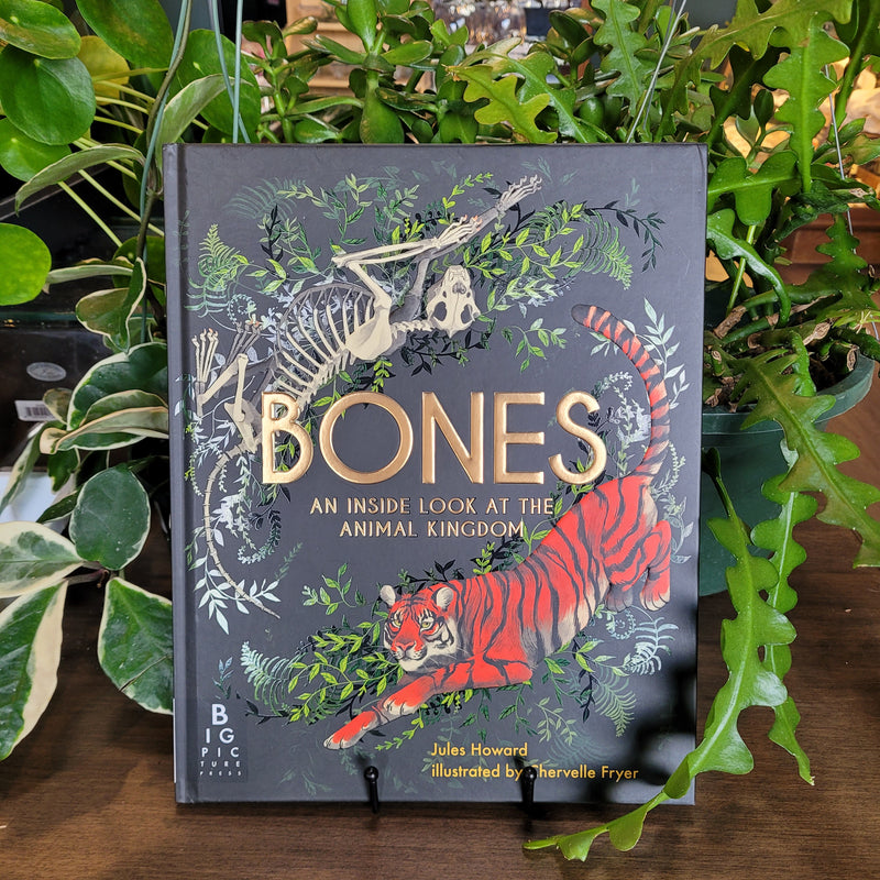 Bones: An Inside Look at the Animal Kingdom by Jules Howard