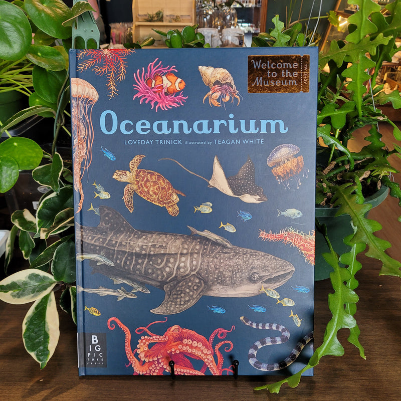 Oceanarium by Loveday Trinick and Teagan White