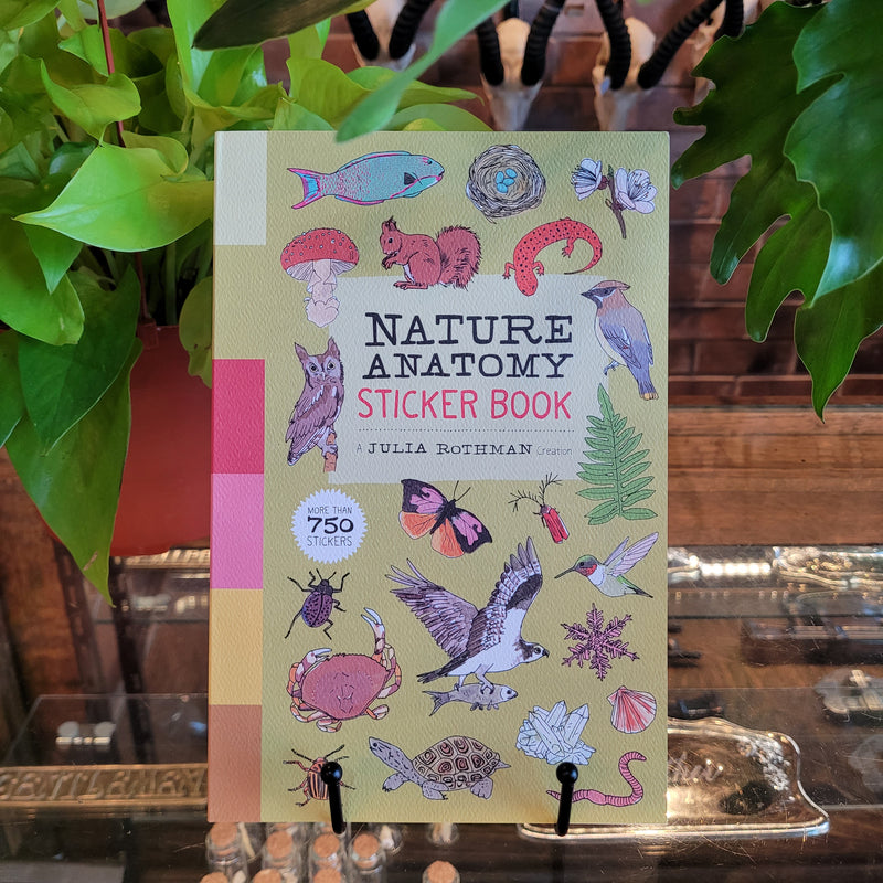 Nature Anatomy Sticker Book by Julia Rothman