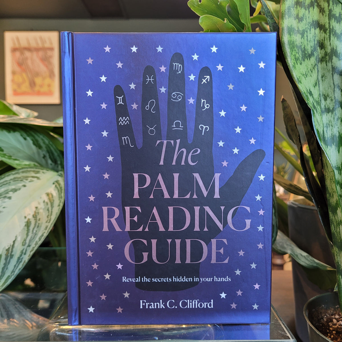 the coconut palm reading The Palm Reading Guide: Reveal the Secrets of the Tell Tale Hand by Fr