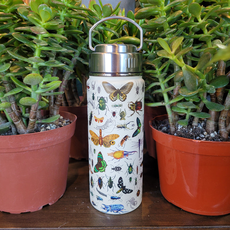 Insect Vacuum Flask