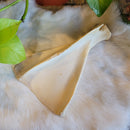 Deer Scapula Shoulder Blade