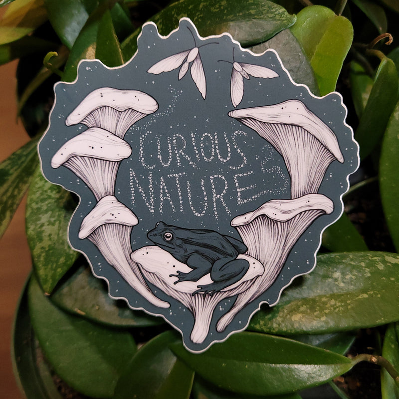 Curious Nature Frog Sticker