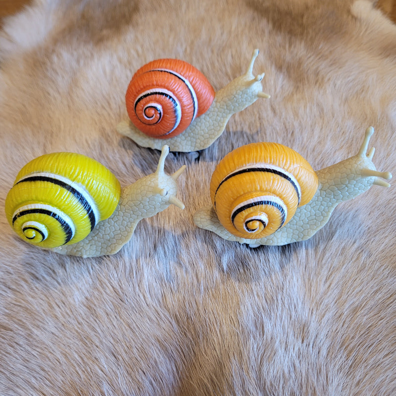 Racing Snail