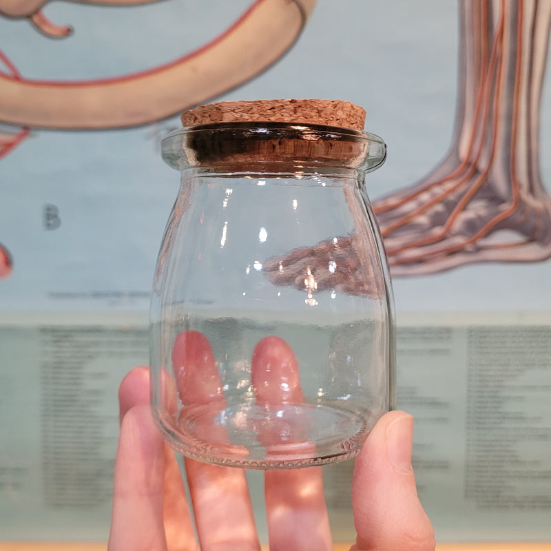 Glass Jar with Cork Stopper