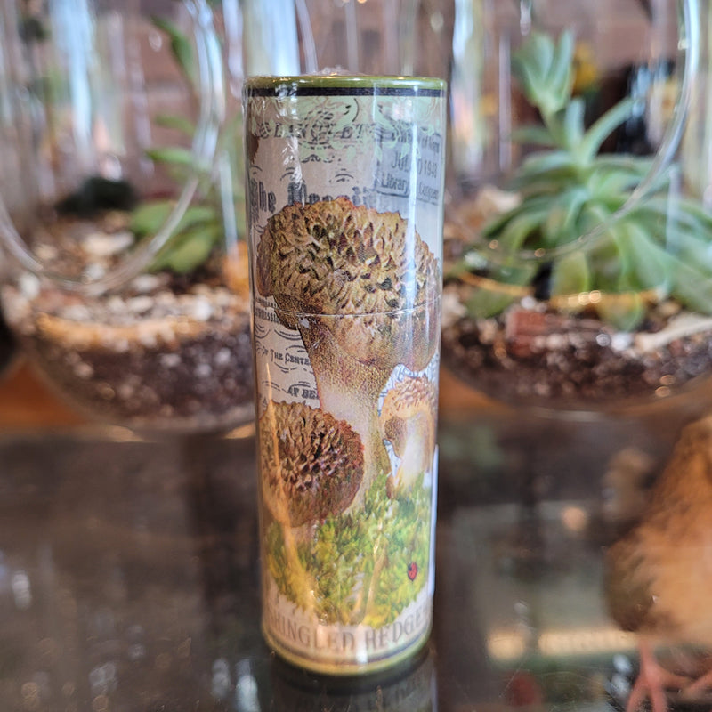 Vintage Mushroom Illustration Match Tube