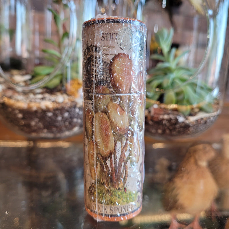 Vintage Mushroom Illustration Match Tube