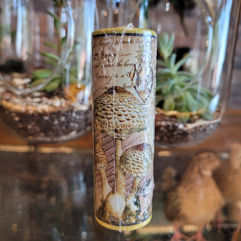 Vintage Mushroom Illustration Match Tube