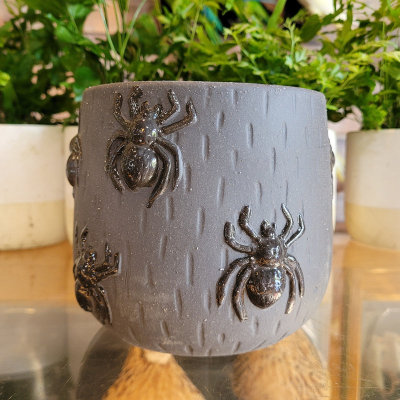 Spider Pot