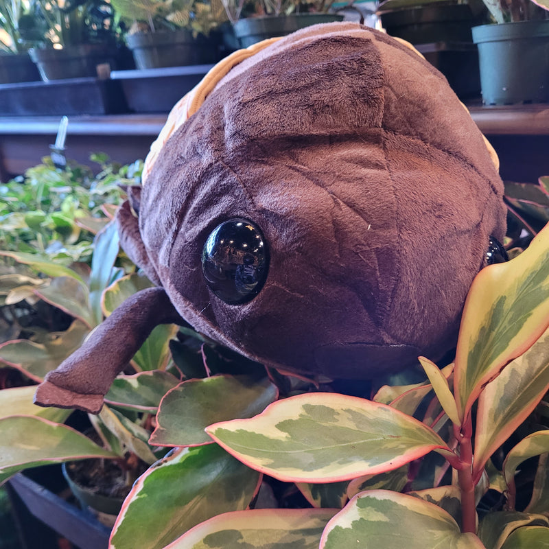 Lifelike Cicada Plush Toy