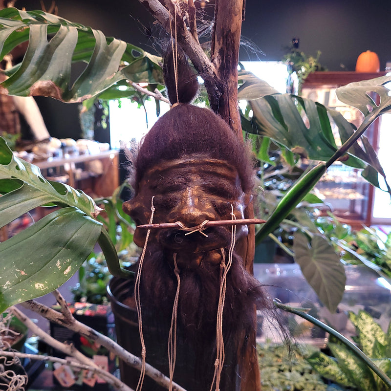 Shrunken Head