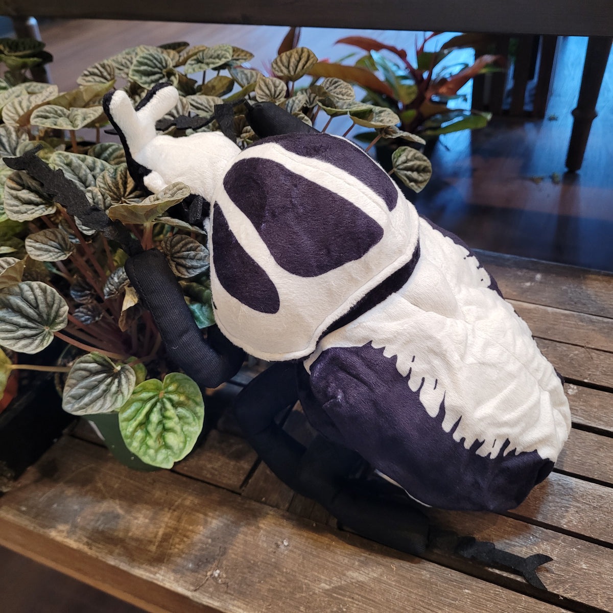 Beetle plush deals
